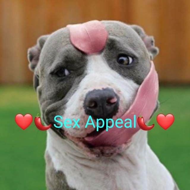 Se x Appeal