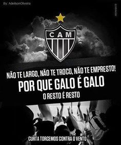 CAM- Galoo Forte e Vingador🐔🖤🤍🏆