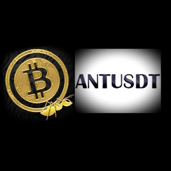 ANTUSDT Brasil