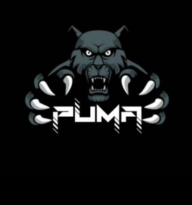 RECRUTAMENTO PUMA