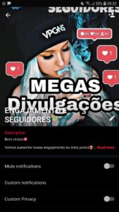 ENGAJAMENTO E SEGUIDORES