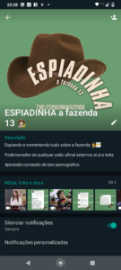 Espiadinha a fazenda 13