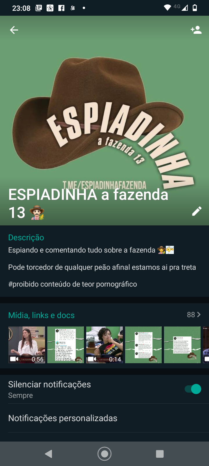 Espiadinha a fazenda 13