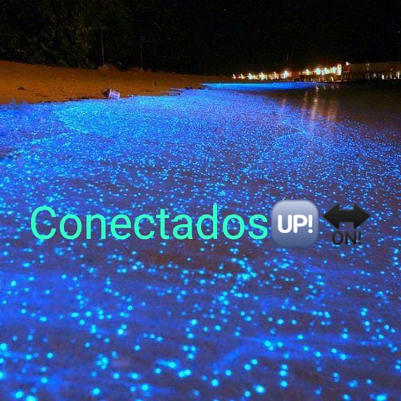 Conectados