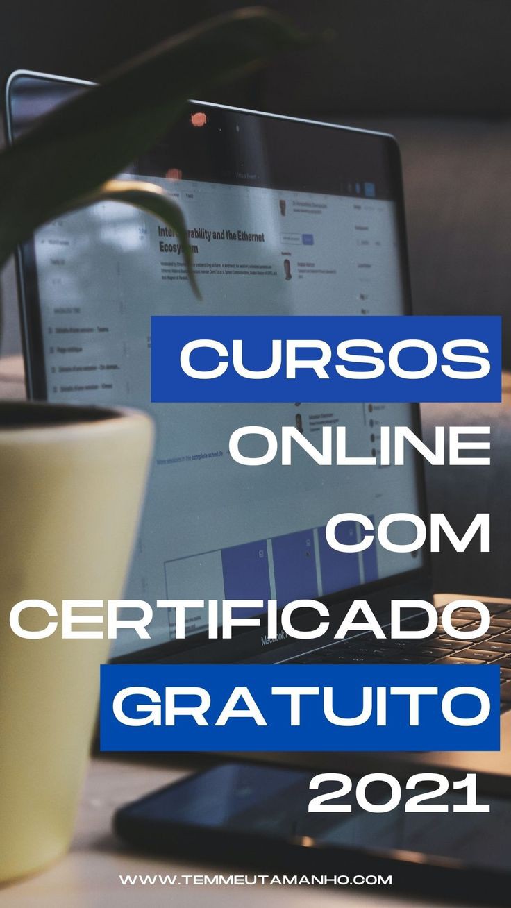 Cursos Profissionalizantes
