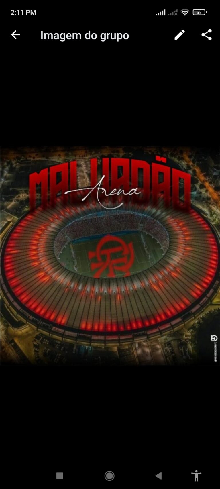 ARENA DO MALVADÃO