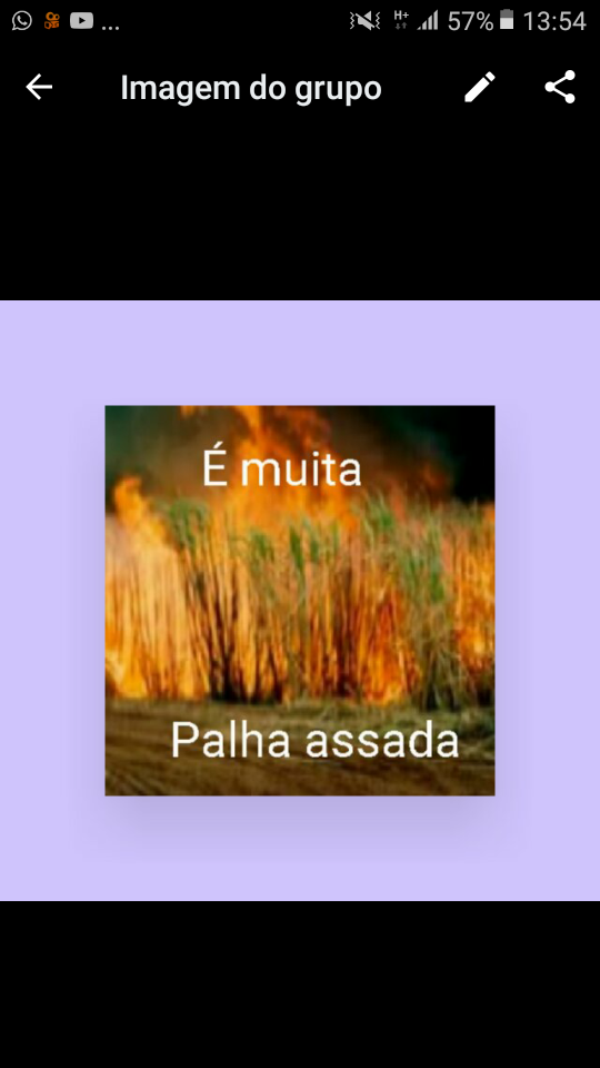 Grupo da zueira