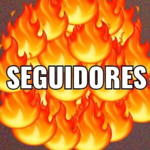 Seguidores