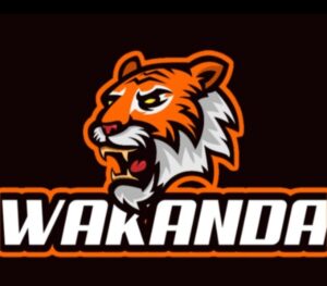 TIME WAKANDA