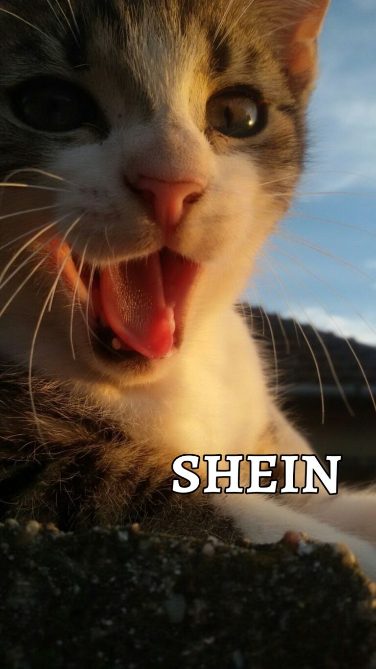 Shein
