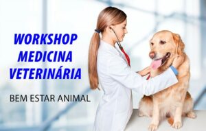 Cursos Vet Promo