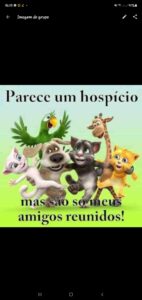 NOVOS AMIGOS