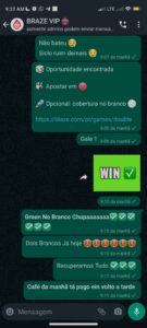 Blaze Pro Vip