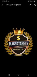 MAGNABEE 7