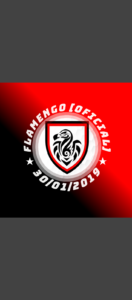 FLAMENGO OFICIAL
