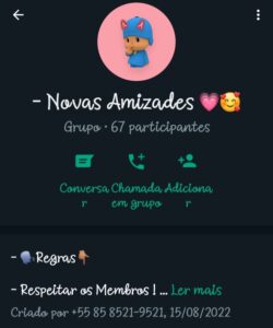 Novas Amizades
