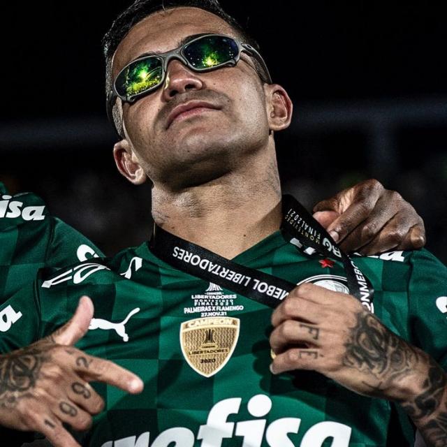 S.E PALMEIRAS