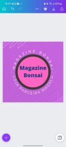 Magazine Bonsai Grupo de Ofertas 1