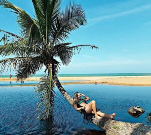 Junior viagens e turismo