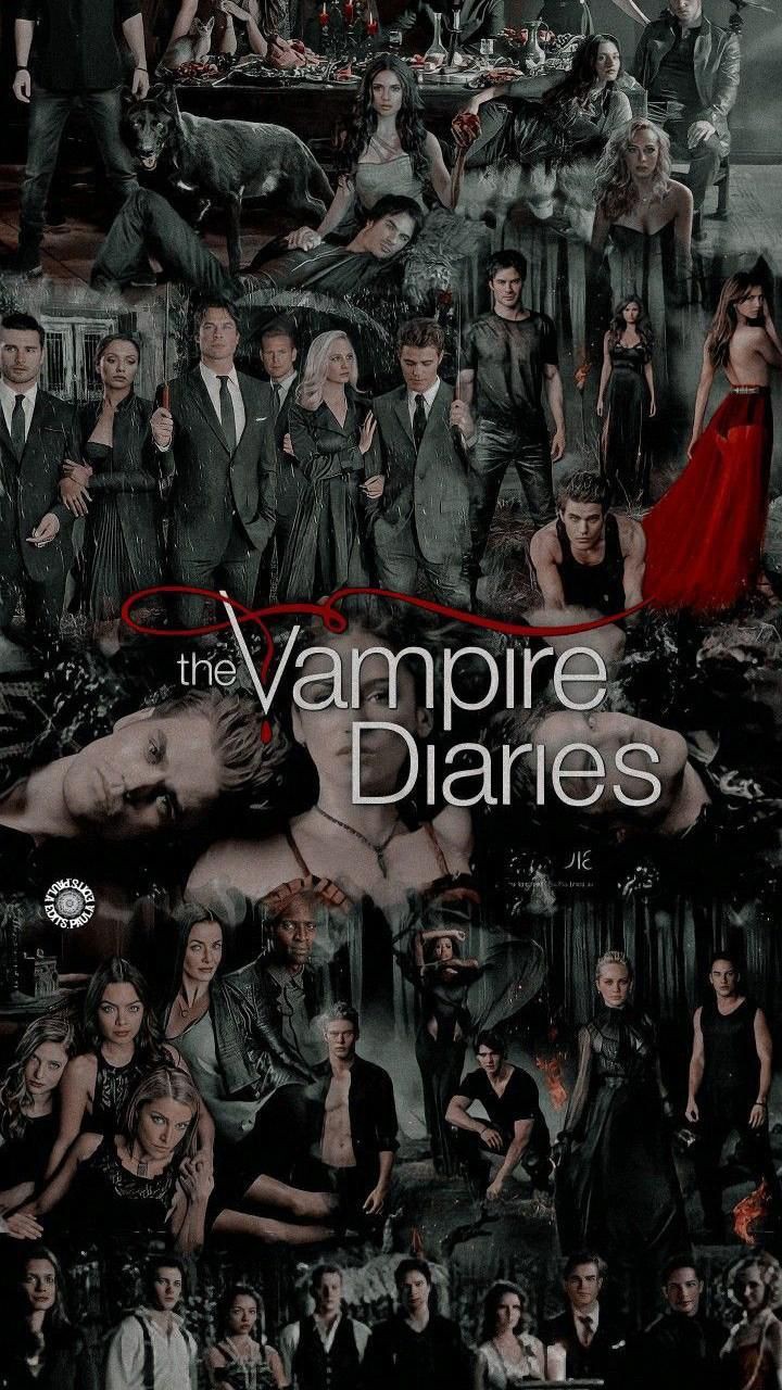 Tvd