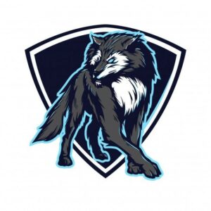 RECRUTAMENTO WOLVES
