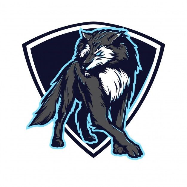 RECRUTAMENTO WOLVES