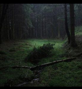 Floresta OFF