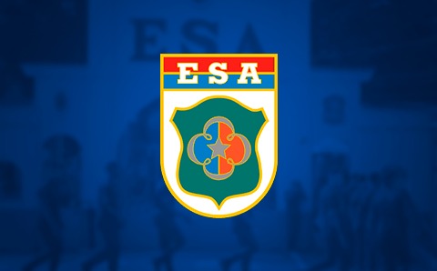 GRUPO DE ESTUDOS ESA ESPCEX