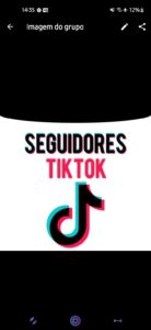 Seguidores tiktok