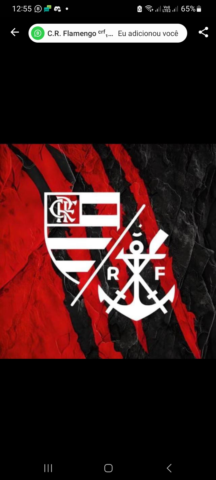 Clube de Regatas do flamengo