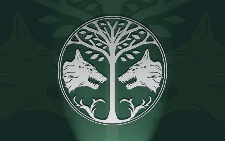 TeamWolf Destiny PS3