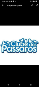 Clube dos paassaros