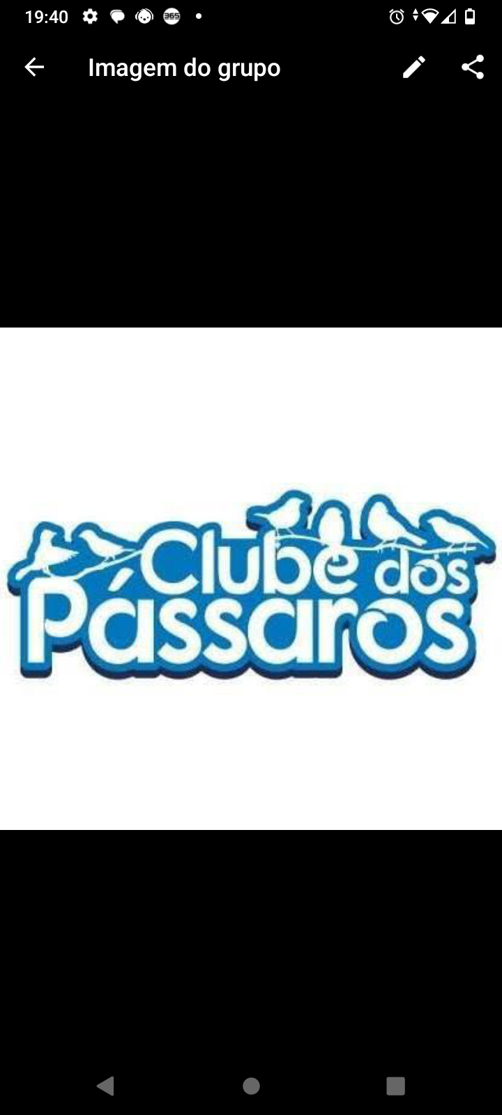 Clube dos paassaros