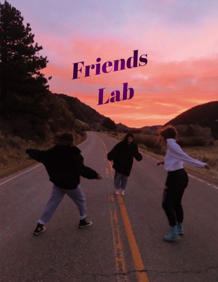 Friends Lab