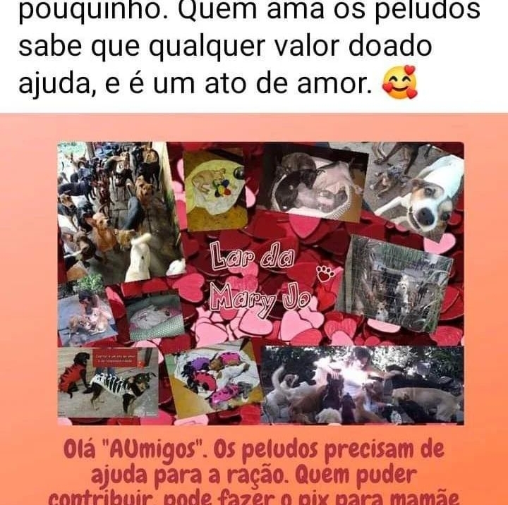 Mary Jo Abrigo adoção de animais