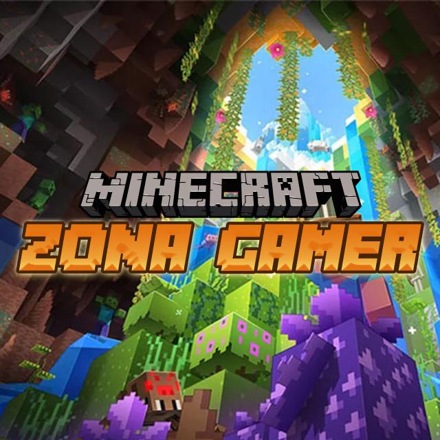 Zona Gamer