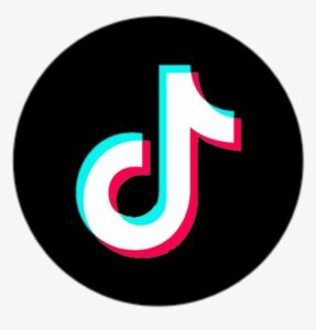 Seguidores Tiktok