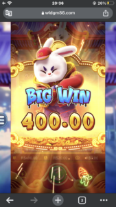 BUG SLOT