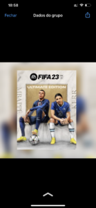 Amigos do fifa 23