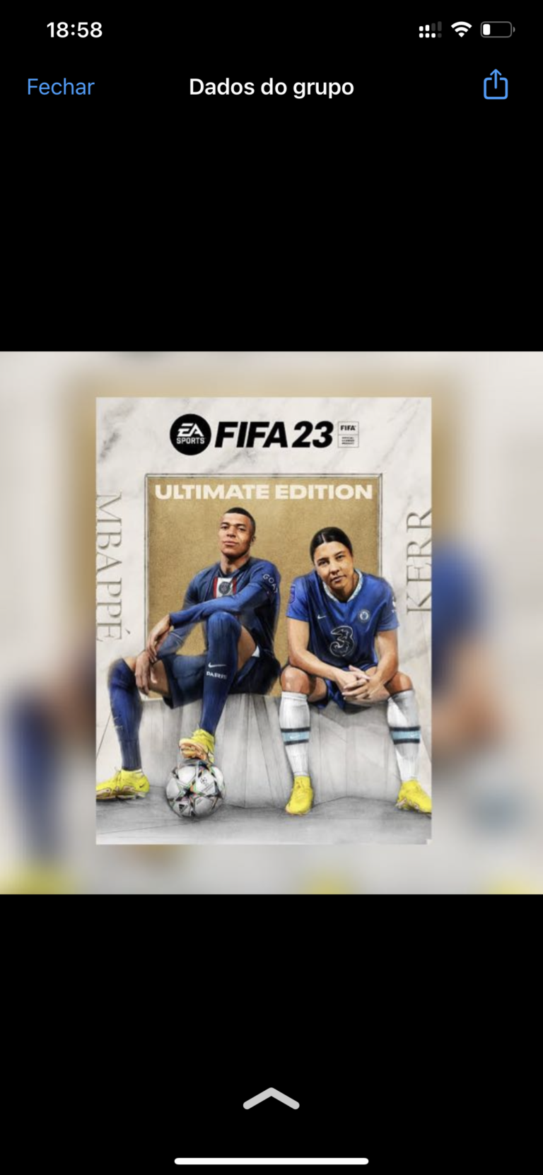 Amigos do fifa 23