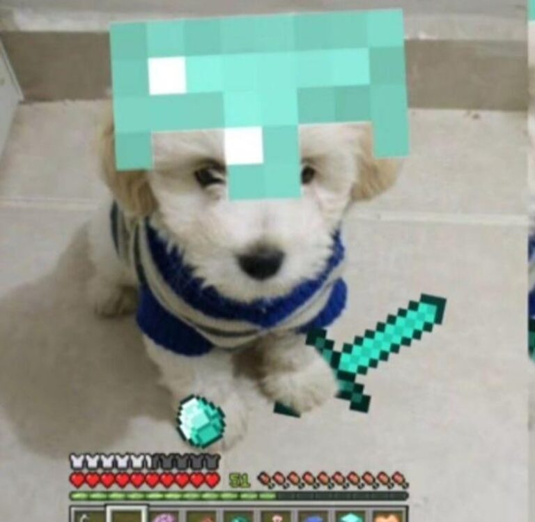 bo amigar?