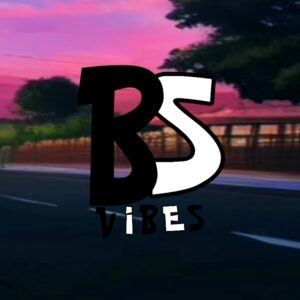 BS VIBES