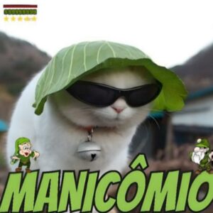 Manicômio 24H