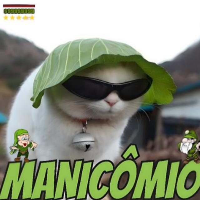Manicômio 24H