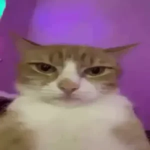 PAC