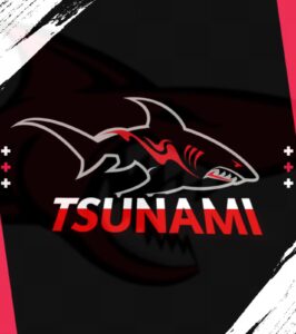 TSUNAMI