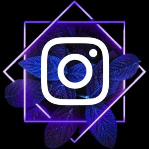 DISCLØSE FOLLOW