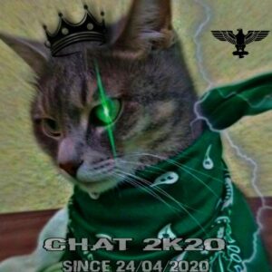 chat 2K20