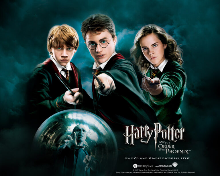 Fãs de Harry Potter