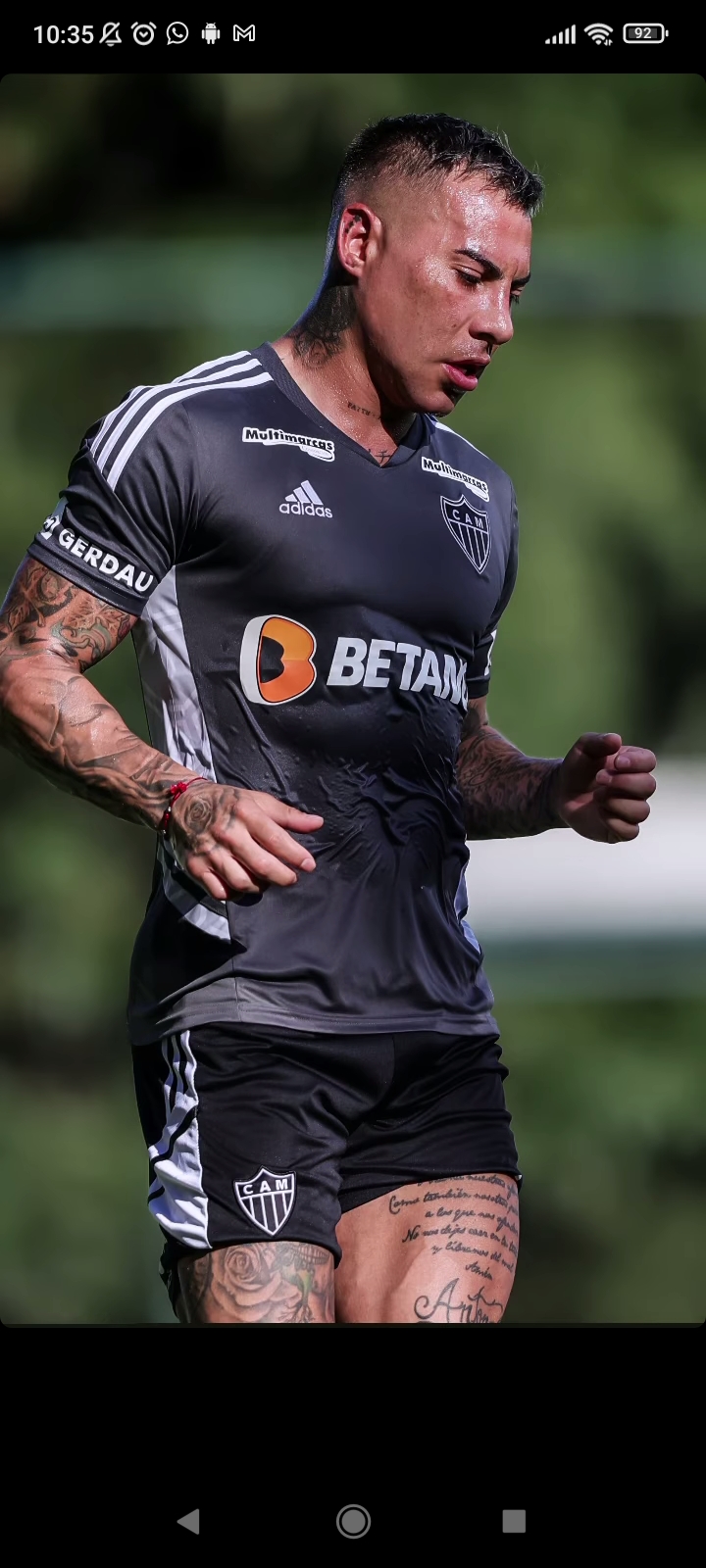 Tropa do galo